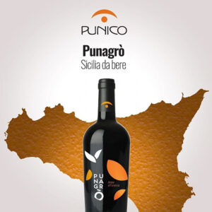 Punagrò Amaro all'Arancia 70 cl